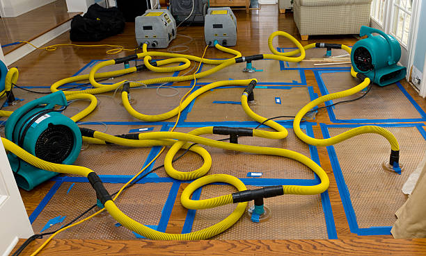 Professional Basement Flood Cleanup technician working in Lompoc, CA